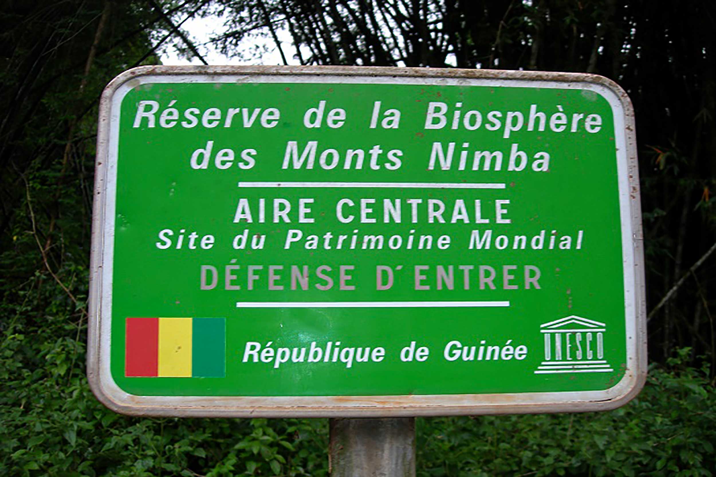 nimba-guinea-mountain-miranasstourisme-nzerekore-reserve